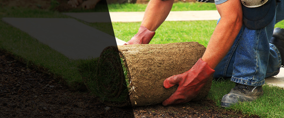 Englewood Cliffs Landscapers